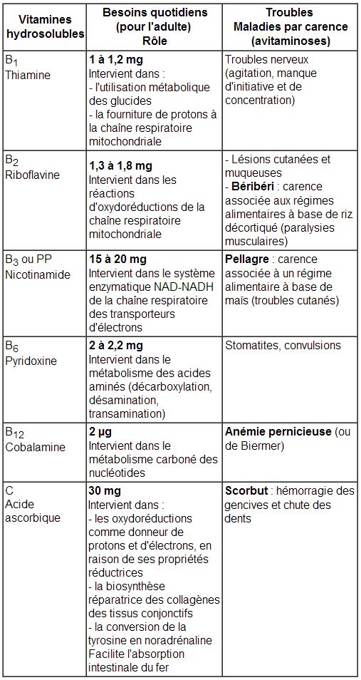 Les Vitamines PATISLAND Les Vitamines PATISLAND